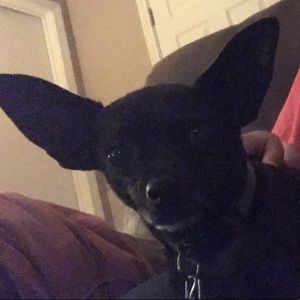 Meet your Posher, Bethany